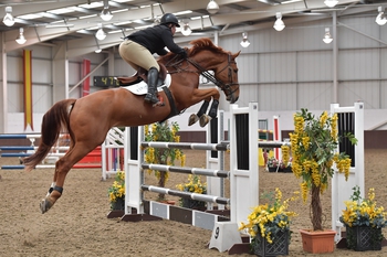 Jake Saywell wins The Champagne Cave Winter Grades B & C Qualifier at Addington Manor Equestrian Centre